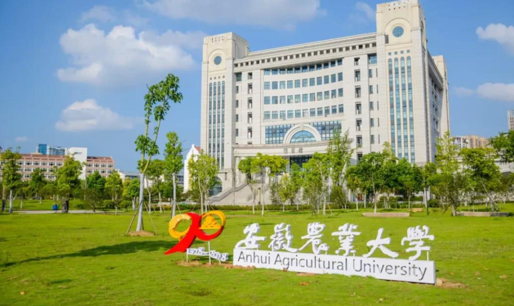 4．蚌埠大学本科有哪些大学？请问，安徽蚌埠有哪些大学？ 