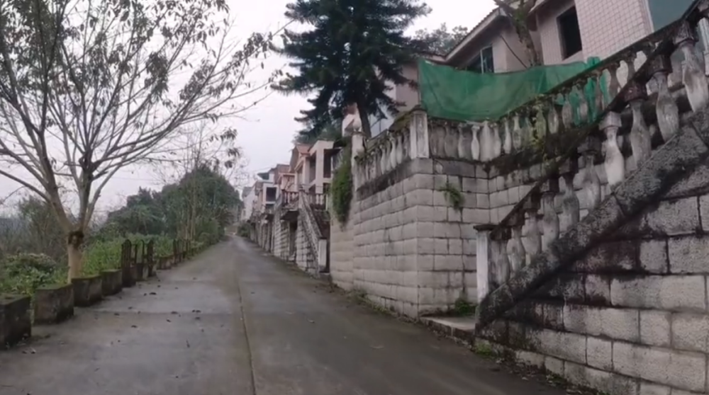 南温泉荒废别墅群,修建完成老板却消失了,无人管理现已杂草丛生