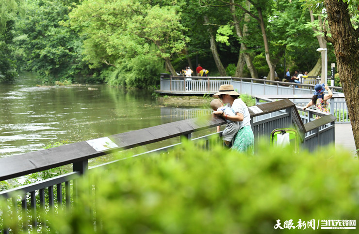 贵州省2020年经济总量_贵州省2020年各科均分(2)