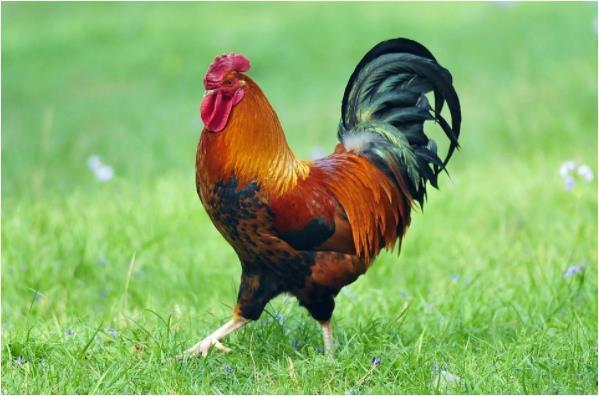 2021Ƽ˳_1973ţ2021˳_2021Ƽ˳