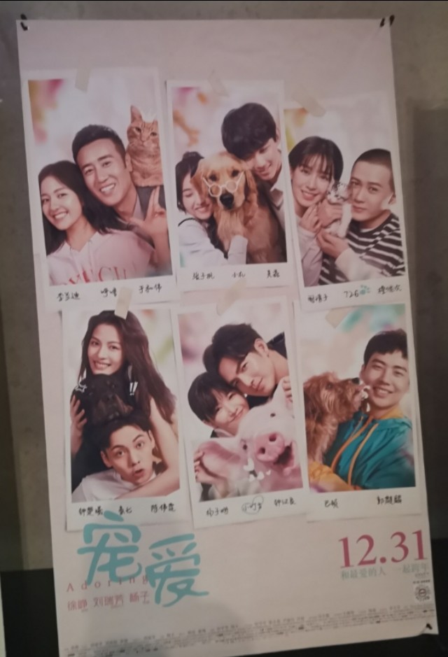 《宠爱》让人感动,我们都值得被宠爱