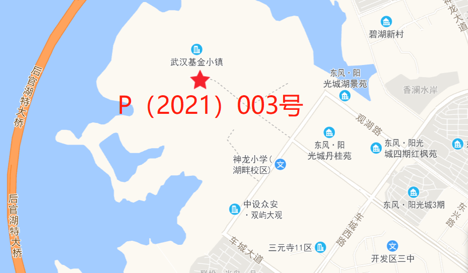 2021年武汉经济总量_2021年武汉樱花图片(3)