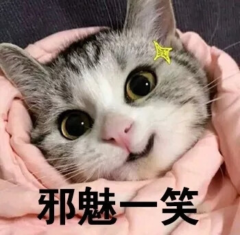 卖萌表情包:生气了 哄不好的那种