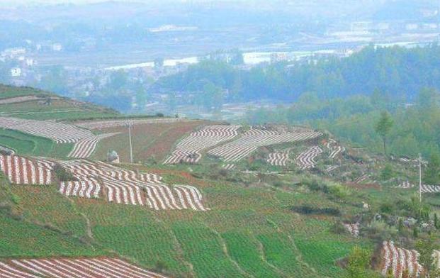 毕节旅游经济总量_毕节经济示范园图片