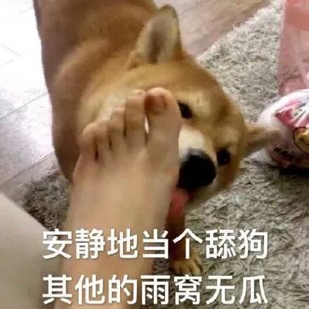 可爱表情包丨彼此牵挂就够了