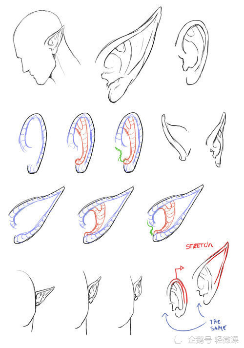 耳朵画法素材五官绘画技巧学起来