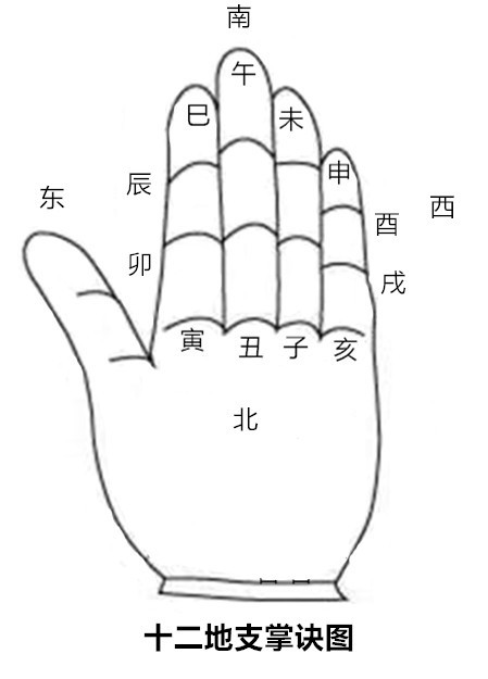 十二地支掌诀图,如上图所示,以左手无名指最底端开始以顺时针方向