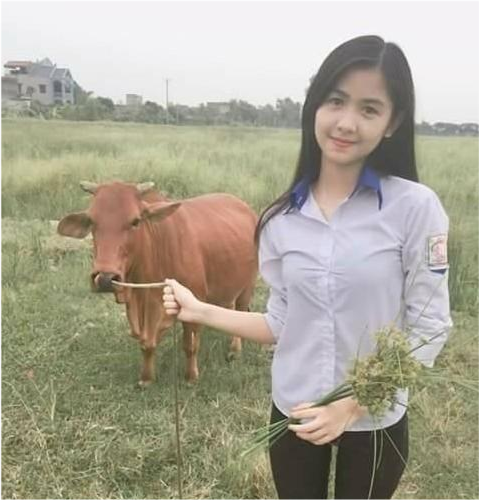 缅甸是一个怎样的国家?_腾讯新闻
