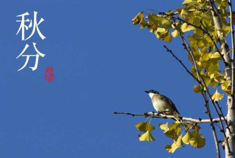 2021最新关于秋分的祝福句子说说秋分节气祝福说