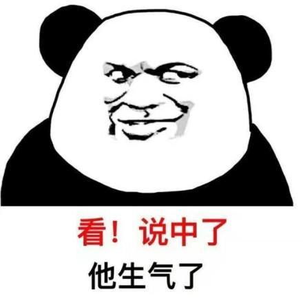 表情包:看!说中了,他生气了