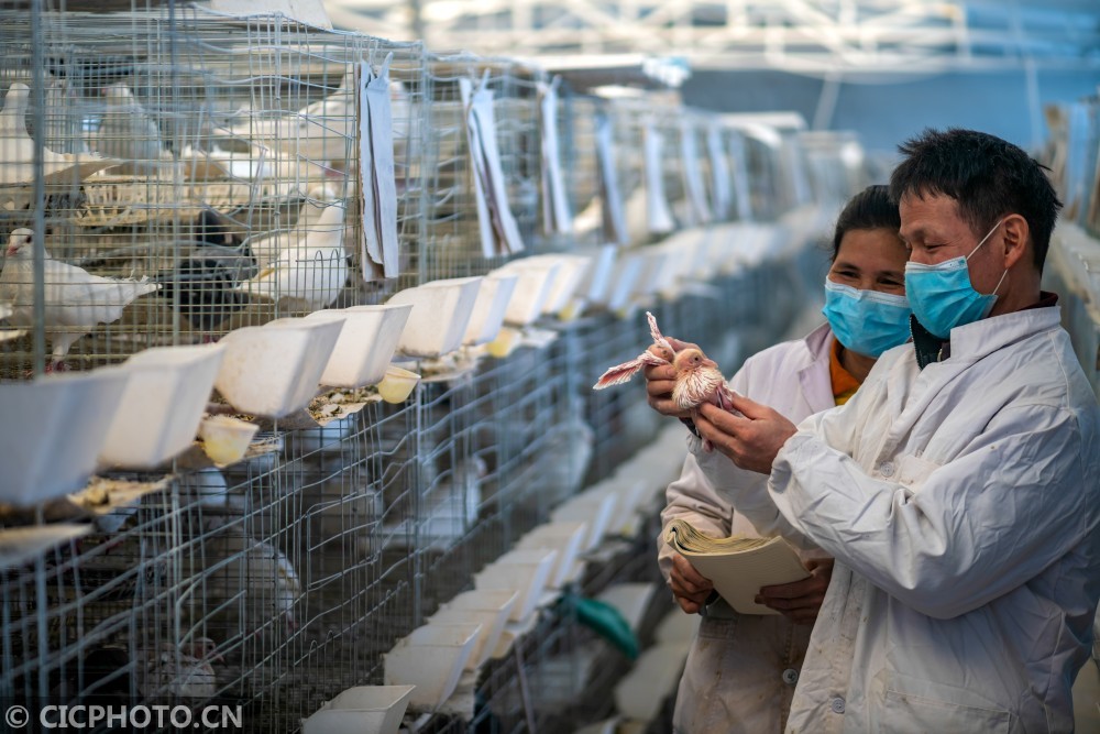 巴州人口2021_2021年新疆巴音郭楞州若羌县招聘编制外人员15人公告(2)