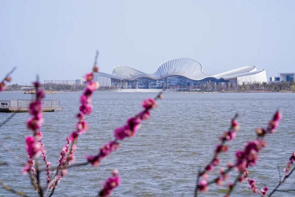 紫琅湖    梅花岛