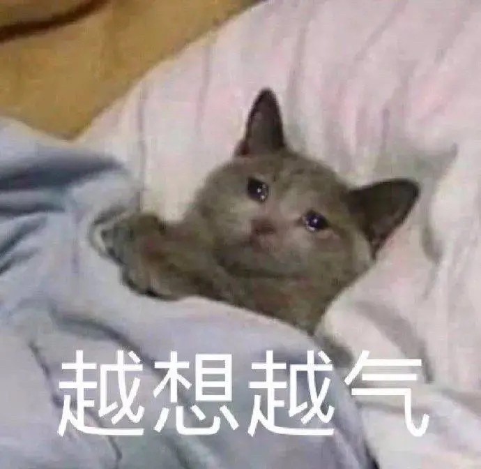 萌宠表情包:快给我康康你的腹肌!