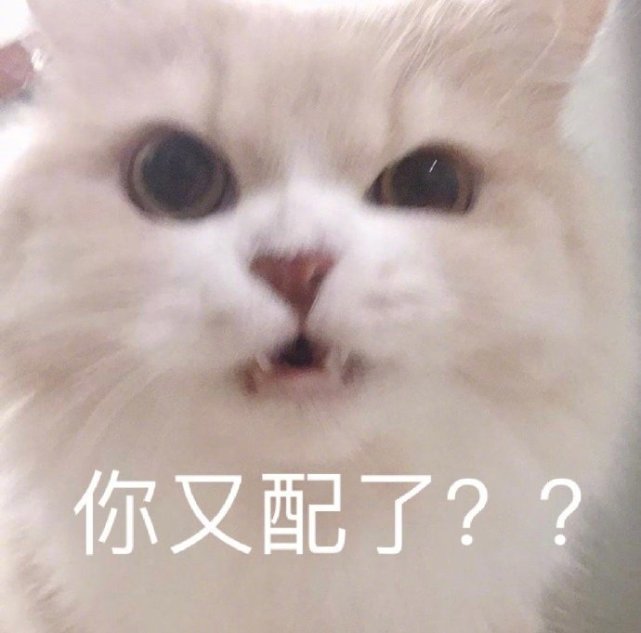 沙雕表情包l嘴一个