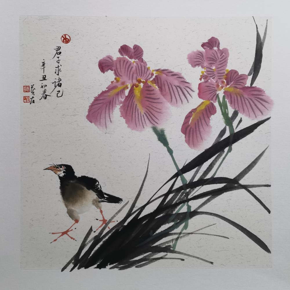 静以修身——蔡茂友辛丑年水墨花鸟画作品欣赏