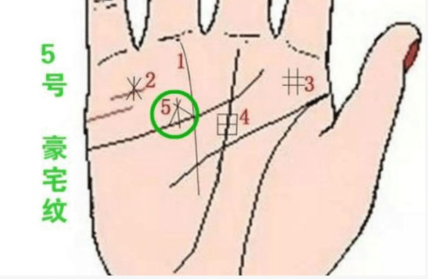 再就是掌上有豪宅纹的人,一般手上长有这种纹路的人都是大富大贵,家里