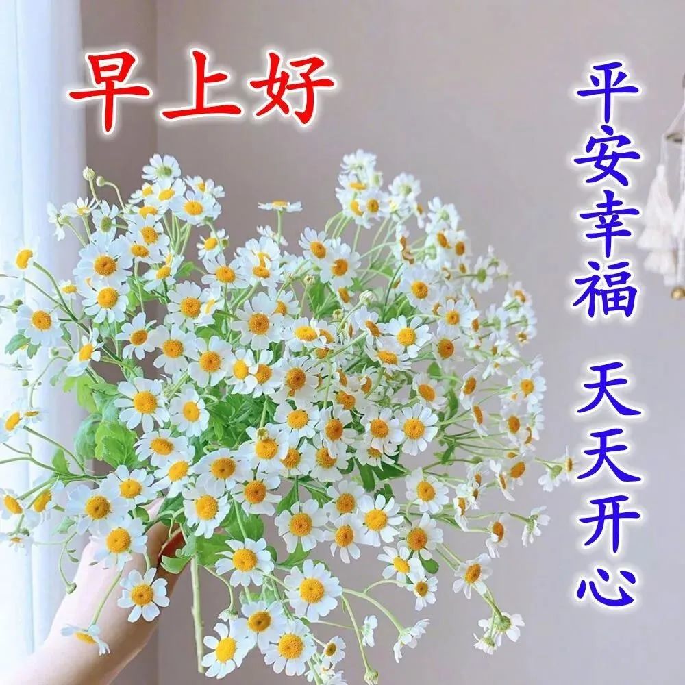 早上好心存朋友我的问候早早陪伴你祝每天好心情早安67