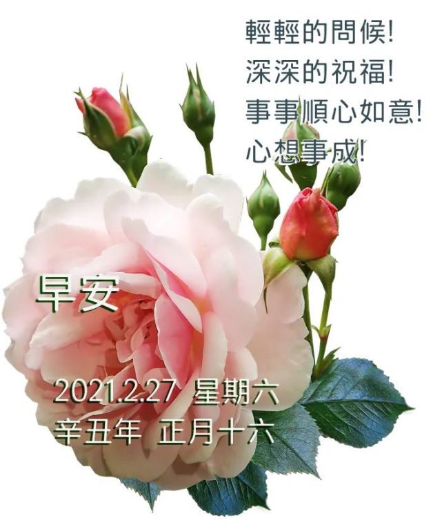 早上好祝福语大全 早上好问候语及关心话