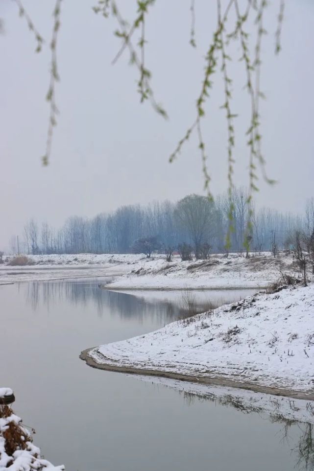 洛阳黄河湿地雪景,静寂无声美如空镜