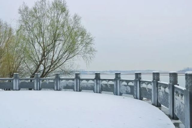 洛阳黄河湿地雪景,静寂无声美如空镜