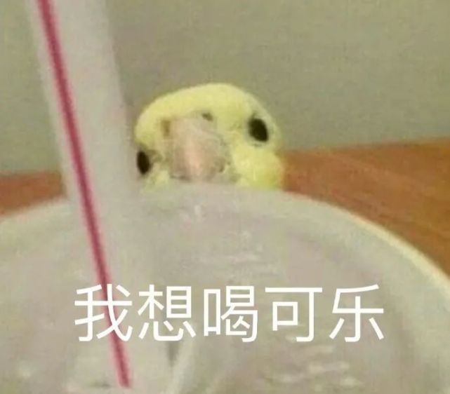 表情包:你又不是不知道,我吵不过你