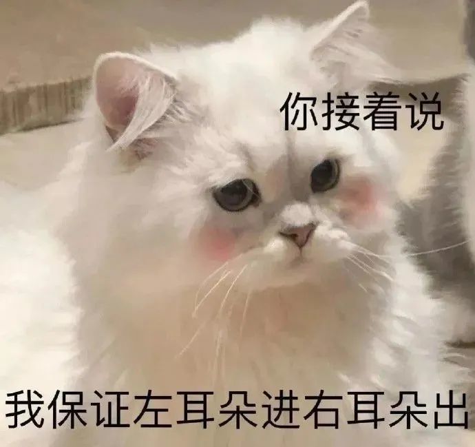 表情包:你继续说,我保证左耳进右耳出