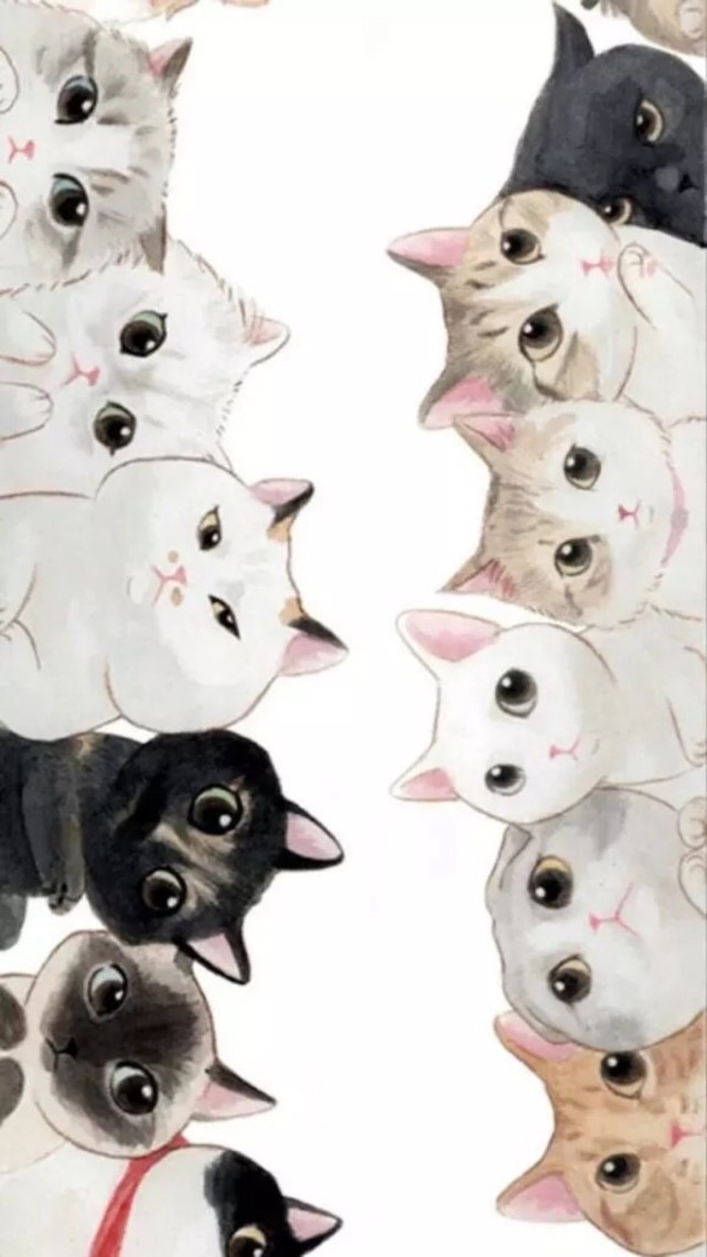 小猫咪类的壁纸屏保,很有爱.