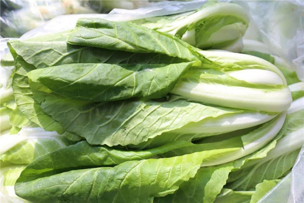 大白菜,小白菜,娃娃菜这3种蔬菜,到底有什么神仙关系?