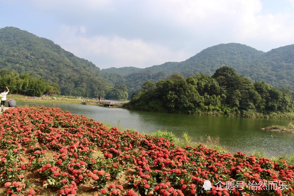 游从化石门森林公园:天池美人陶醉