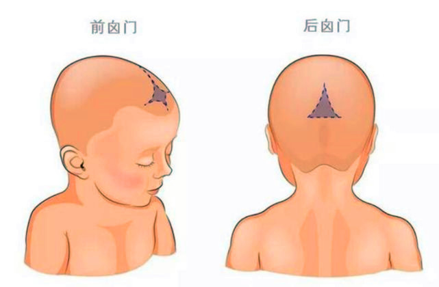 宝宝囟门是健康"灯塔",若出现这几种信号,可能健康亮了"红灯"