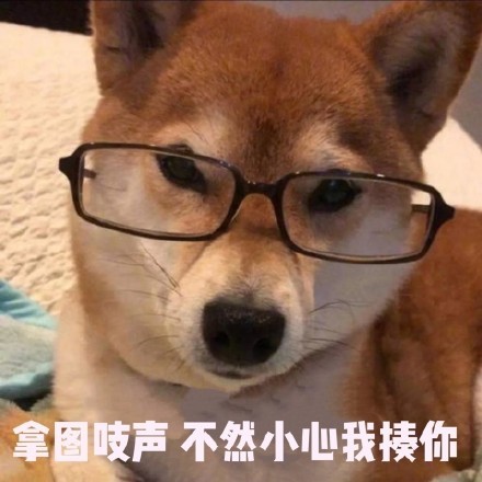 表情包:猫和老鼠的表情,在干嘛呀