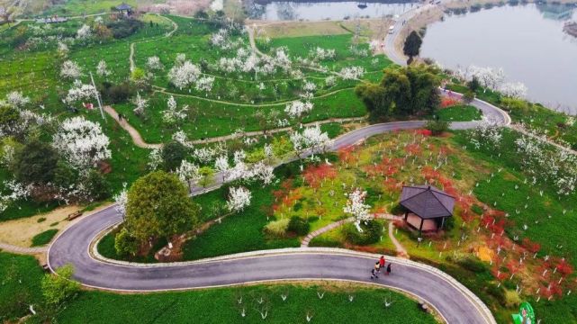 除了梨花溪风景区 新津已打开全景赏花模式 天府农博园的春水花田