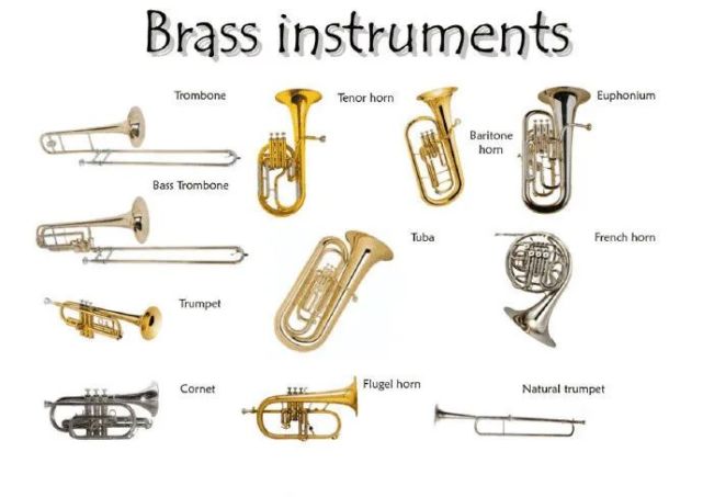 brass instruments 铜管乐器