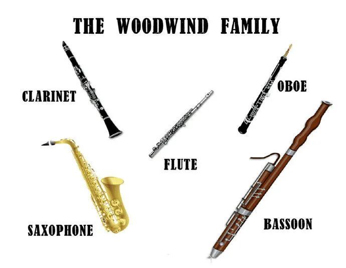 the woodwind family  木管乐器