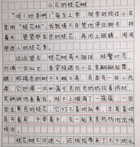 小学生作文《我的姐姐》走红,画面感过于强烈,老师看后哭笑不得