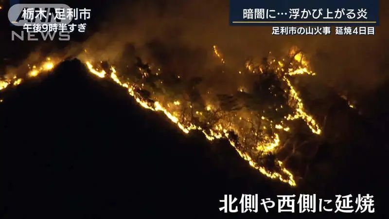 梦境解析，梦见被乱刀杀死——心灵的警钟与自我救赎的启示