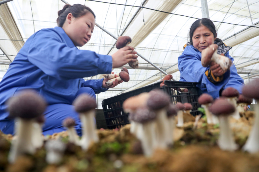 岳池gdp_岳池米粉