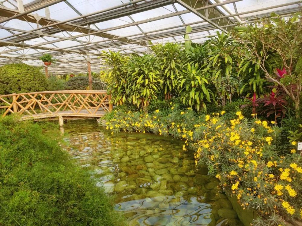 【feng景】世界花卉大观园:2021春暖花开已向你奔赴而来