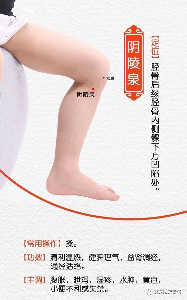阴陵泉这个穴位不太好取穴,而且揉上去会比较疼大家取穴和按揉的时候