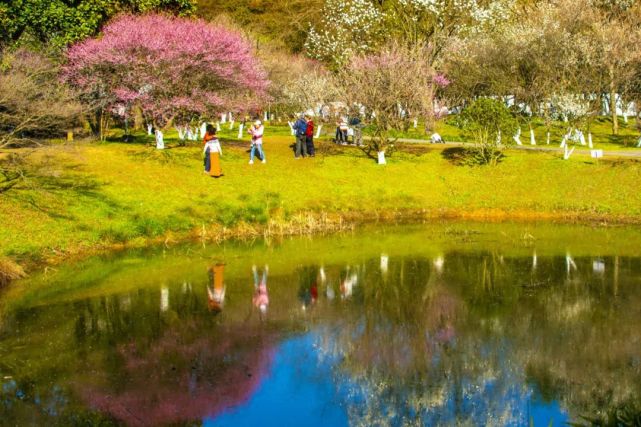 阳春三月,最美不过"水中花,这样的风景你注意过吗?