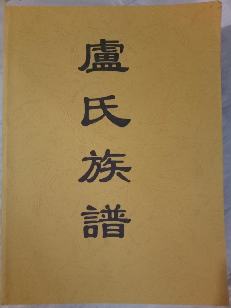 卢氏族谱卢璇的后代枝繁叶茂,起初定居于永康灵山下卢村(今属浙江省