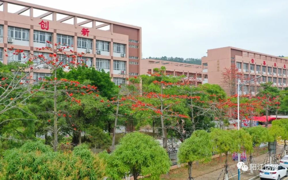 阳江市阳东二中,少林学校木棉花美景-春之使者