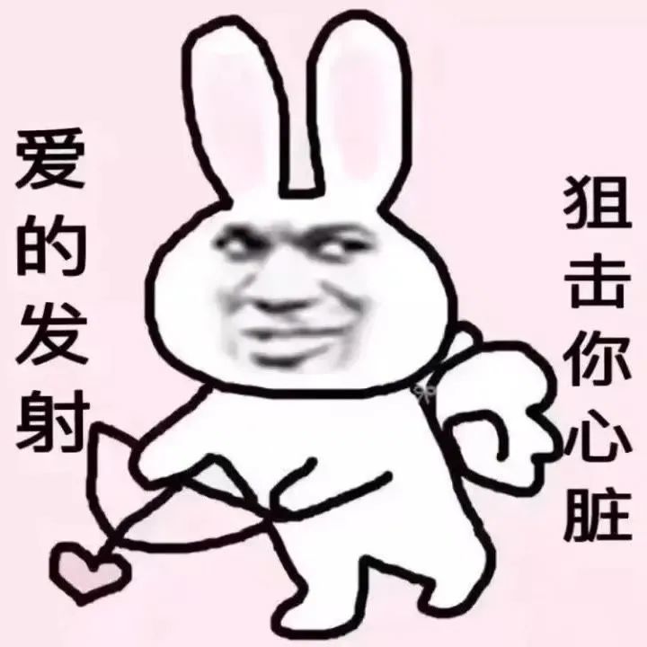 表情包 我想要一个小奶狗