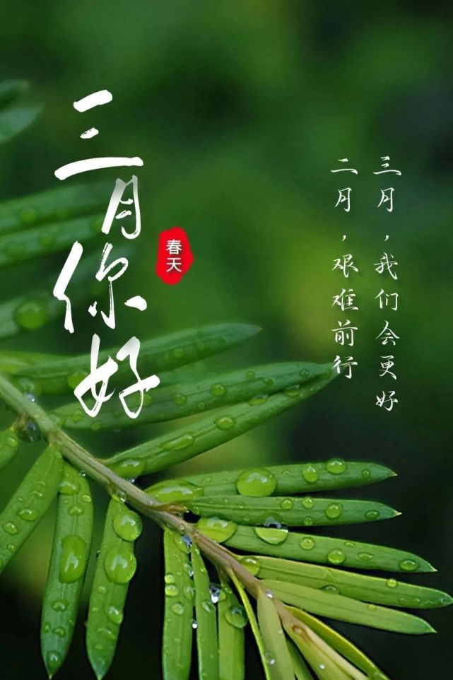 二月再见三月你好,迎接3月的心情说说句子 愿所有美好,不负归期!