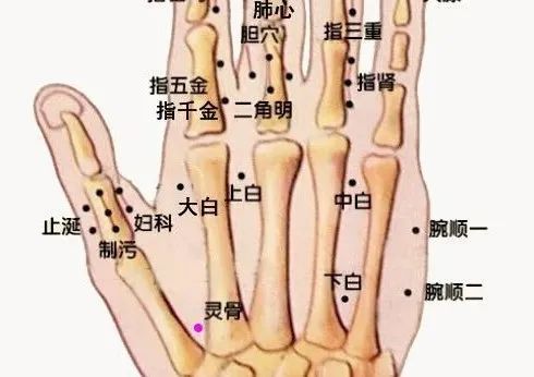 中风后遗症董针常用取穴方法