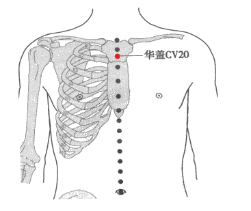 华盖穴:咳嗽,气喘,胸痛