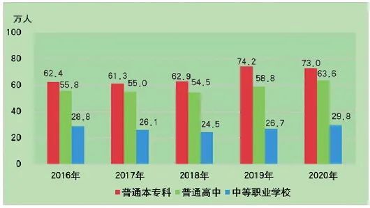 人口统计公报2020_人口普查公报图片