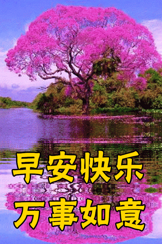 3月17日新版早上好鲜花图片带字温馨微信阳光早上好图片集锦