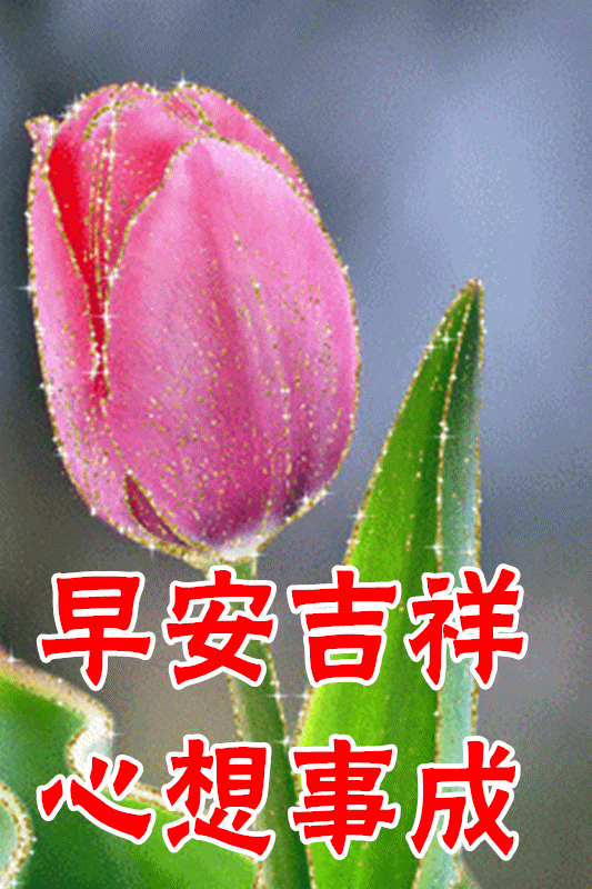 3月17日新版早上好鲜花图片带字温馨微信阳光早上好图片集锦