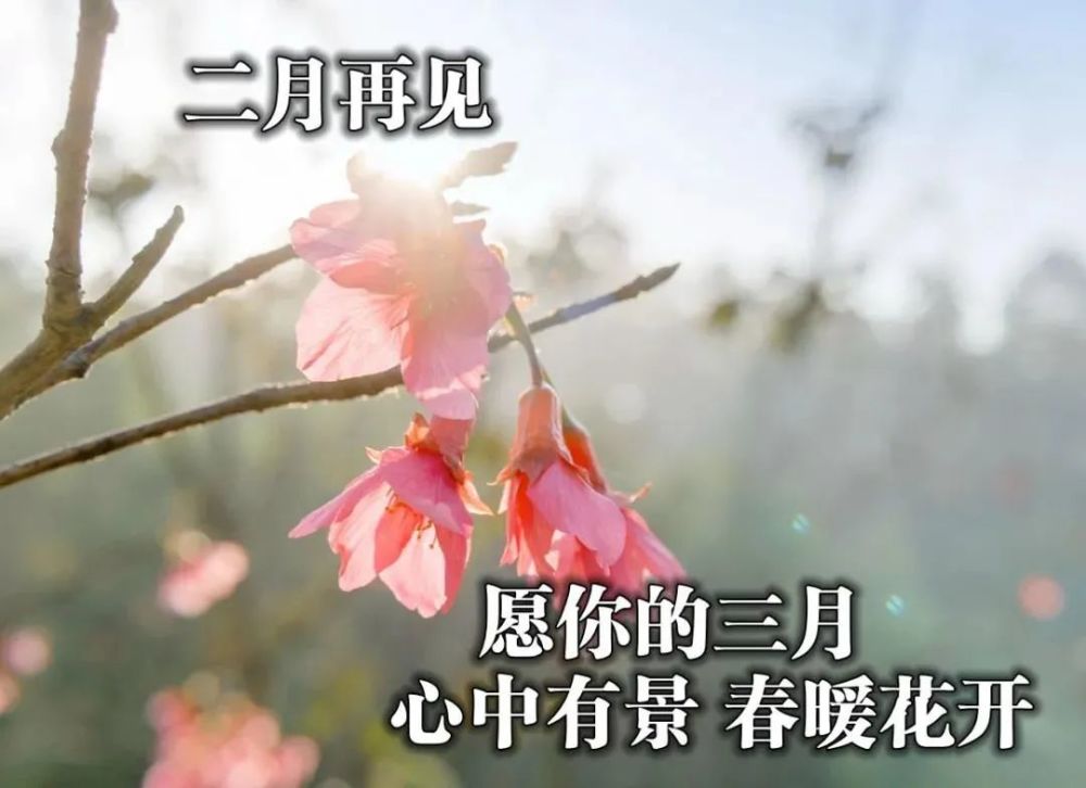3月1日 清晨早安问候动态表情图片 2021最美早上好祝福美图